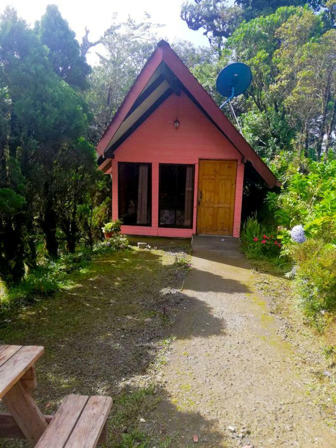 Zapotal  Cabanas Las Orquideas חדר תמונה