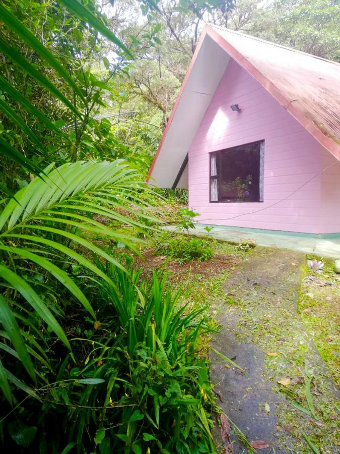 Zapotal  Cabanas Las Orquideas חדר תמונה