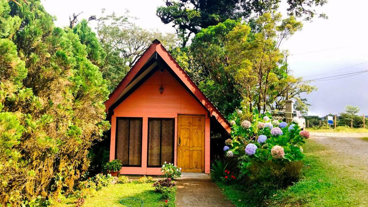 Zapotal  Cabanas Las Orquideas חדר תמונה